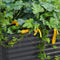 SAVANA GALVANIZED RAISED GARDEN BED 72"L×36"W×24"H - TITANIUM GRAY - Like New