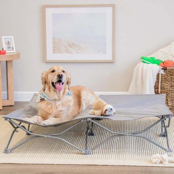 CARLSON THE POTABLE PUP PET BED FOR HOME OR ON THE GO 47" BY 47" - GRAY - Like New