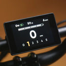 RAD POWER BIKES RADSTER TRAIL EBIKE W/ 65 MILES MAX OPERATING RANGE - COPPER RED - Like New