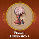 Genius Games Human Head Anatomy Puzzle - 441 Piece Teen Floor Puzzle - Brand New