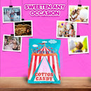 Fun Express Cotton Candy Bags Pink 12 Individually Wrapped Bulk Candy Floss - Brand New