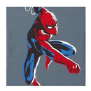 Idea Nuova Marvel Spiderman 4 Pack Canvas Art Set, 4 Piece Set - Like New