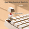 darkFlash Wireless Mechanical Keyboard and Mouse for Office, 106 Keys Full-Size - Like New
