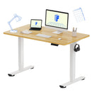 FLEXISPOT EN1 ONE-PIECE STANDING DESK 48"X24" SEAMLESS DESKTOP - MAPLE - Like New