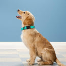 PWOD Dog Collar Adjustable Soft Neoprene Padded Nylon PetsGXQ02 - Teal L - Like New