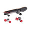 SWICHBOARD MOOSE MOUNTAIN TRICK & CRUISER SET - BLACK/RED - Like New