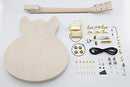 Leo Jaymz DIY Hollow Body Electric Guitar Kit - G-335 - Brand New
