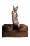 NOAH & PAW Small Dog Bed, 20x15x8 Inch, Cat Bed, Orthopedic Eggshell Memory Foam - Brand New