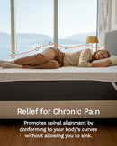 Viscosoft 3 Inch Memory Foam Mattress Topper Twin Pain Pressure Relief - Brand New