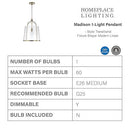 HomePlace Lighting 347011AD Madison Transitional Seeded Glass Light Fixture - Brand New