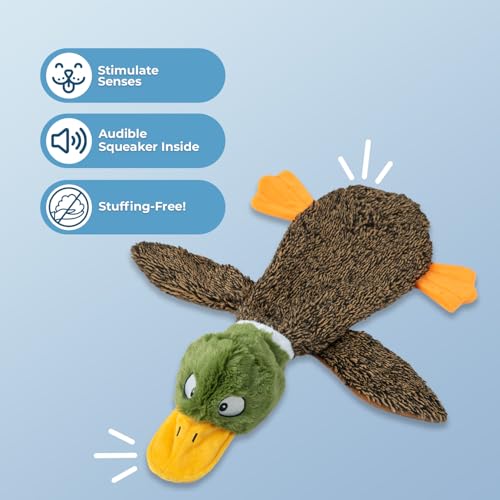 Best Pet Supplies 2-in-1 Stuffless Squeaky Dog Toys with Soft, Durable Fabric - Brand New