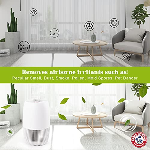 ARM & HAMMER AH301W HEPA AIR PURIFIER FOR HOME OFFICE DESKTOP - PEARL WHITE - Like New