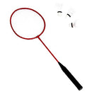 AMAZON BASICS PORTABLE OUTDOOR VOLLEYBALL BADMINTON COMBO SET MULTI COLOR - Like New
