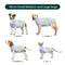 Kuoser Recovery Suit for Dogs Cats After Surgery Professional Pet Recovery Shirt - Brand New