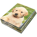 BLUE PANDA 12 Pack of 2 Pocket File Folders, FSFGO-NEW, Assorted Patterns - Brand New