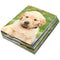 BLUE PANDA 12 Pack of 2 Pocket File Folders, FSFGO-NEW, Assorted Patterns - Brand New