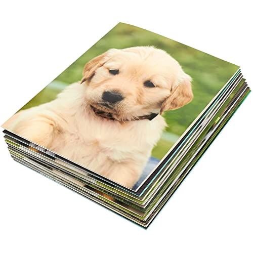 BLUE PANDA 12 Pack of 2 Pocket File Folders, FSFGO-NEW, Assorted Patterns - Brand New