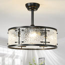 AIJIASI 20" Caged Ceiling Fans with Lights Fan Control Fandelier - Black - Brand New
