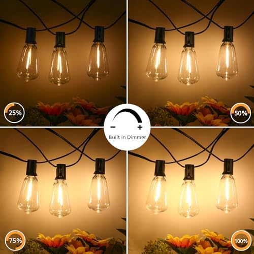 BRIGHTOWN 3 Color 1 LED Outdoor String Lights Remote 100FT CMPC-O50XA - Black Like New