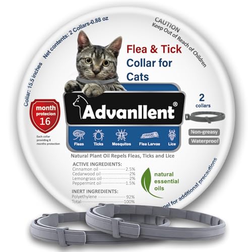 ADVANLLENT FLEA COLLAR FOR CATS, FLEA AND TICK COLLARS FOR KITTENS, GRAY - Brand New
