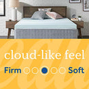 Sealy TrueForm 3" Memory Foam Mattress Topper, Twin XL - Brand New