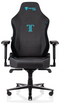 For Parts: Secretlab Gaming Chair TT20-SW-BLACKDN PHYSICAL DAMAGE MISSING COMPONENTS