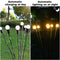 WMQBD SOLAR OUTDOOR LIGHTS LED SOLAR POWERED FIREFLY LIGHTS WITH 6 LED BULBS - Like New