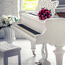 ALIMORDEN PU Leather Cushion Solo Piano Bench Stool Sheet Music Storage -White - Brand New