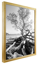 MCS 18x24 Inch Art Frame, Natural (47579) - Brand New