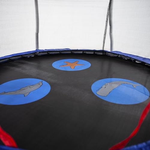 SKYWALKER TRAMPOLINES MINI TRAMPOLINE WITH ENCLOSURE NET - BLUE - Like New