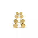 BLOGILATES 4 TIER WEIGHT RACK - GOLD - Brand New