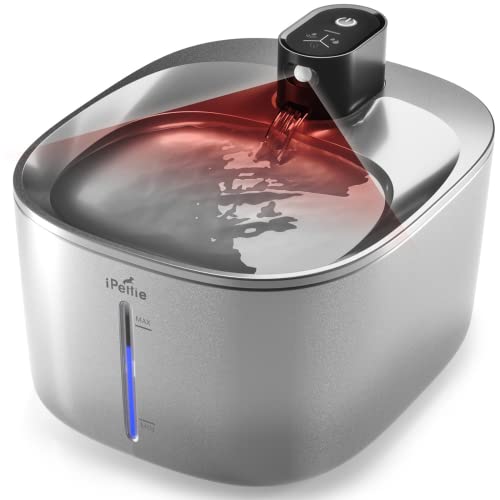 IPETTIE RUNWAY BATTERY CORDLESS CAT WATER FOUNTAIN - GRAY - Like New
