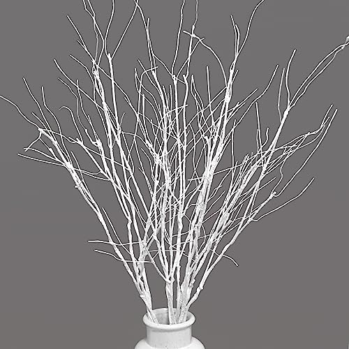 VANTREE 10 PCS ARTIFICIAL BRANCHES CURLY WILLOW BRANCHES OLIVE BRANCHES - WHITE - Brand New