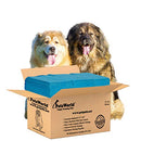 PetsWorld Enormous Dog Pee Pads 37"x54" 50 Count XXXL Pet Pee Pads Heavy Duty - Brand New
