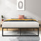 ZINUS LORELEI 14 INCH METAL PLATFORM BED FRAME QUEEN OLB-SMPB-14QS-BLK - BLACK - Like New