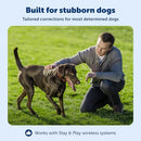 PETSAFE PIF00-13672 STUBBORN DOG STAY & PLAY WIRELESS FENCE COLLAR, 3 DOGS - Brand New