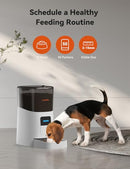 WOPET 6L Automatic Cat Feeder WiFi Dog APP Control F07 - White New