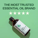 Plant Therapy Organic Peppermint Essential Oil 100 mL (3.3 oz) - Brand New