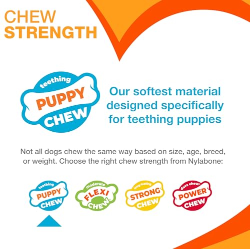 Nylabone Flavor Frenzy Barbell Puppy Chew Toy NPRD803P - Green/Yellow - Brand New