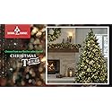 NATIONAL TREE 5' GLITTERY BRISTLE PINE ENTRANCE, 150 LIGHTS, DBL GLITTER, GREEN - Like New