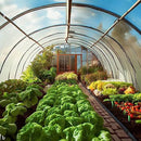 SUNVIEW Greenhouse Plastic Film Polyethylene Covering 6 Mil 12ft. X 25ft - CLEAR - Brand New