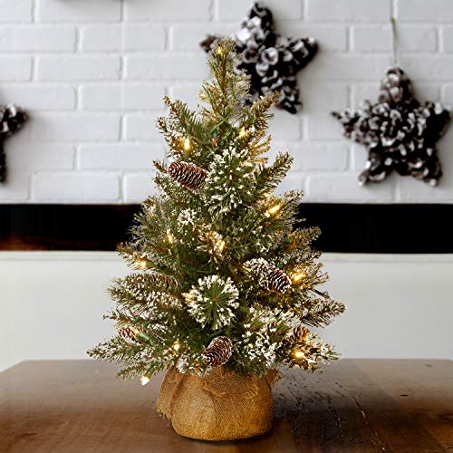 NATIONAL TREE COMPANY PRE-LIT ARTIFICIAL MINI TREE WHITE WHITE TIPPED 2FT GREEN - Brand New