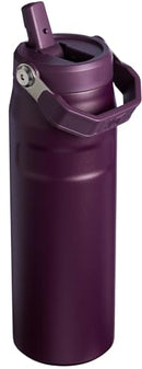 STANLEY BOTTLE WITH FLIP STRAW LID 24 OZ - PLUM - Like New