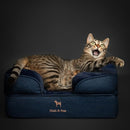 NOAH & PAW CAT BED, XS DOG BED, ORTHOPEDIC MEMORY FOAM (2X BASE) 20X15X8 IN - Like New
