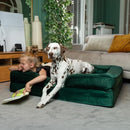 NOAH & PAW LARGE DOG BED, ORTHOPEDIC MEMORY COOLING FOAM 45X35X11 - DARK GREEN - Like New