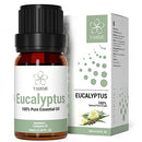 ASAKUKI Eucalyptus Essential Oil, YAHIME Infinite Series, 10ml - B093WZT6HZ - Brand New