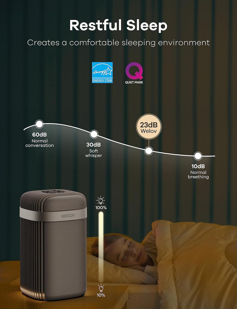 WELOV Air Purifiers for Bedroom: H13 True HEPA Air Purifiers 23db P100G - Gray Like New