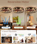AQUBT 19'' CAGED CEILING FANS LIGHTS REMOTE FANDELIER CEILING FAN - BROWN/BLACK - Like New