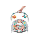 Bright Starts Baby Bouncer Vibrations Infant Seat - Taggies, Music, Removable - Brand New