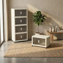 CETOMO 65L*4 PLASTIC FOLDABLE STORAGE BOXES WITH LID, FOLDING STORAGE CABINET - Like New